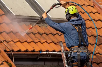 Démoussage et hydrofuge de toiture à Cherbonnières
